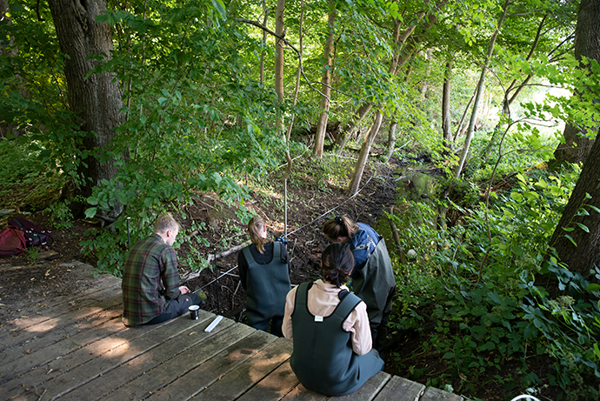 Sommerkurser på Cphbusiness Laboratorie og Miljø