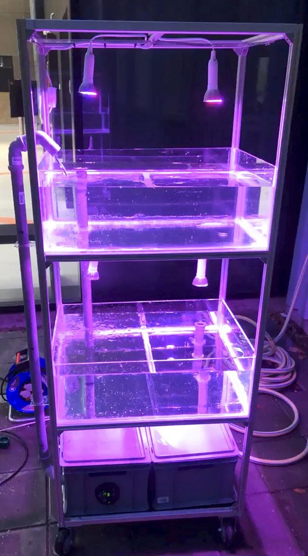 Prototype