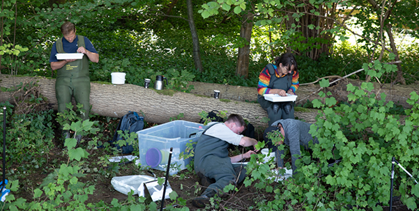 Sommerkurser på Cphbusiness Laboratorie og Miljø